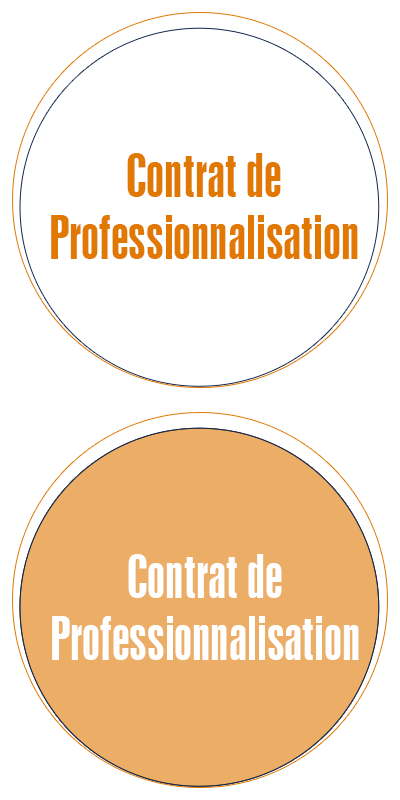 contrat_pro_ecole_commerce_alternance contrat_pro_ecole_commerce_alternance
