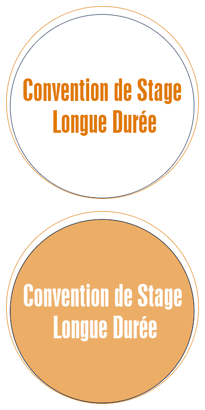 convention_stage_ecole_commerce_alternance convention_stage_ecole_commerce_alternance